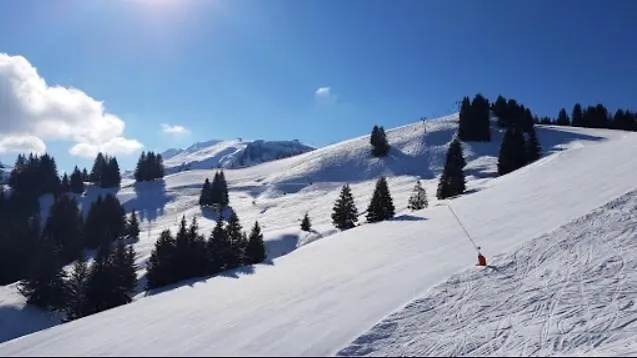 CHALET Indépendant Les Petits Yetis Verchaix